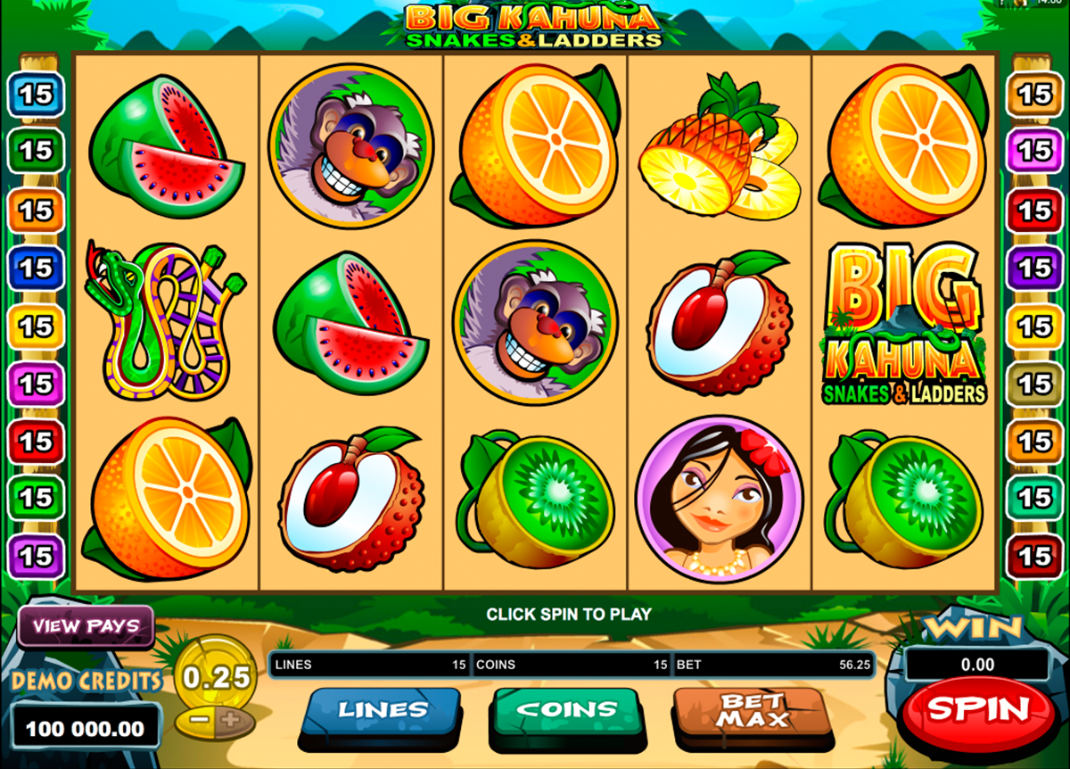 big kahuna snakes and ladders microgaming