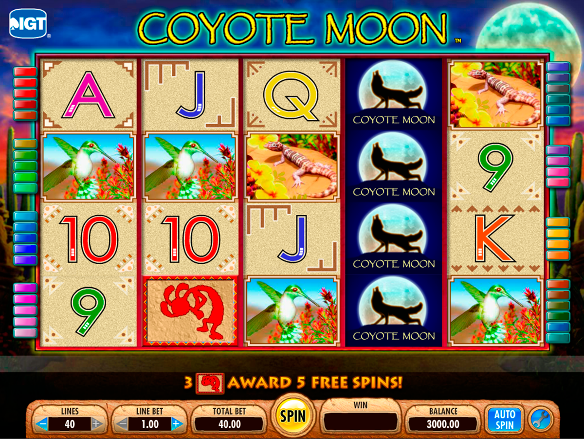coyote moon igt