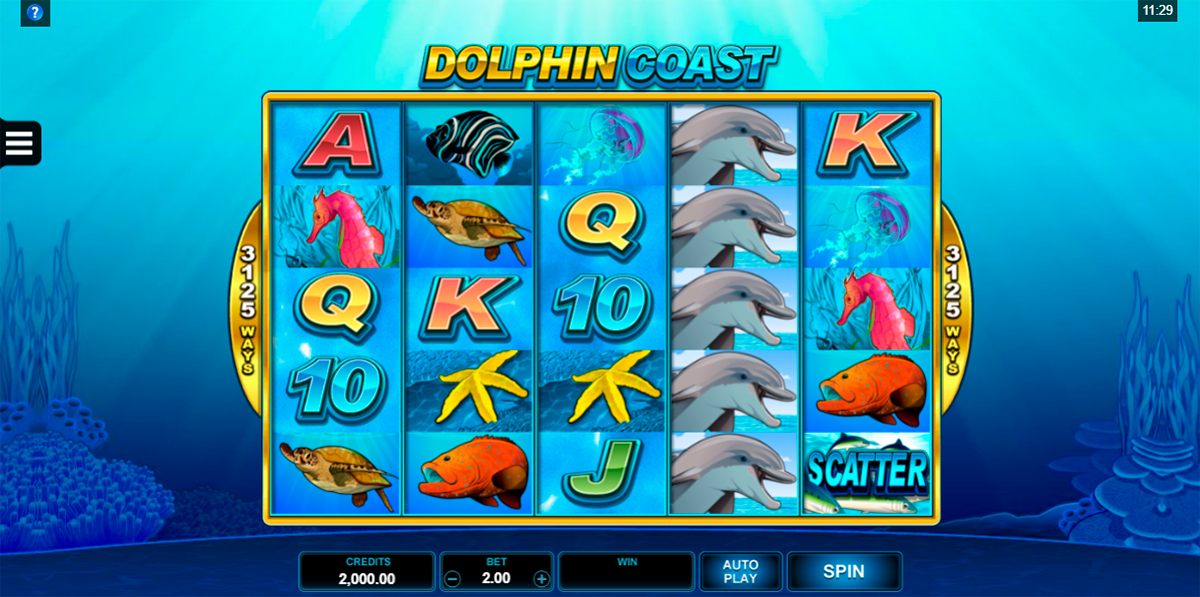 dolphin coast microgaming