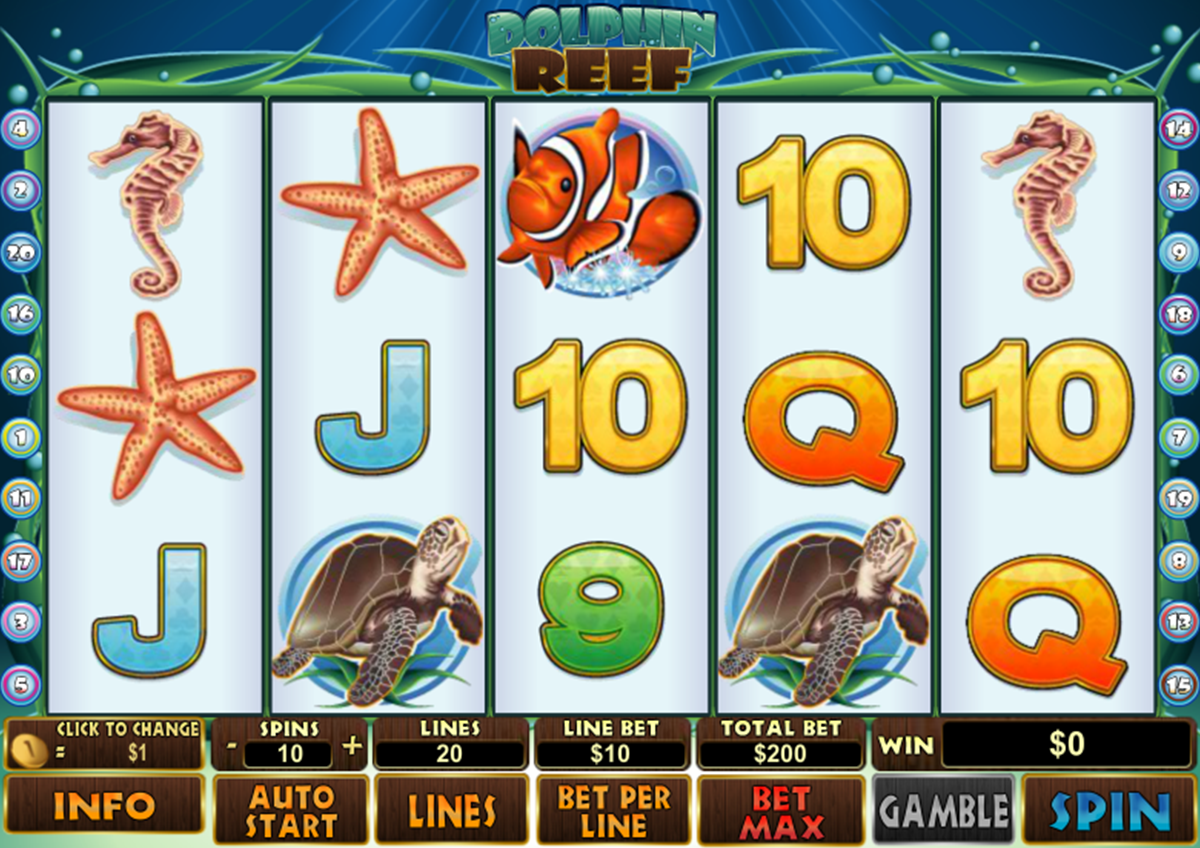 dolphin reef playtech