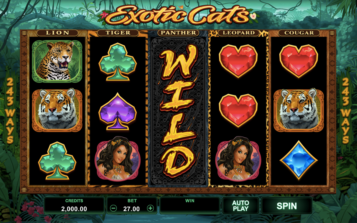 exotic cats microgaming