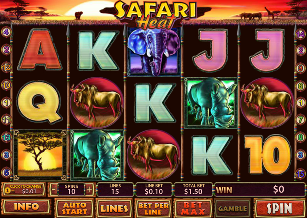 safari heat playtech