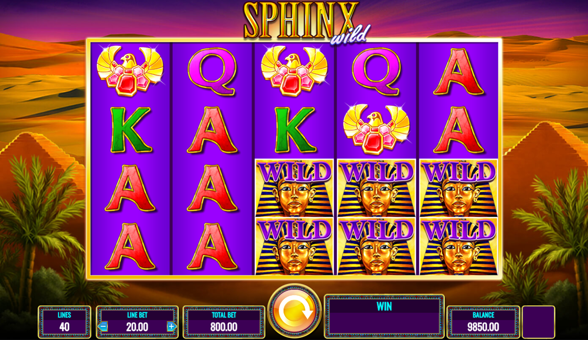 sphinx wild igt