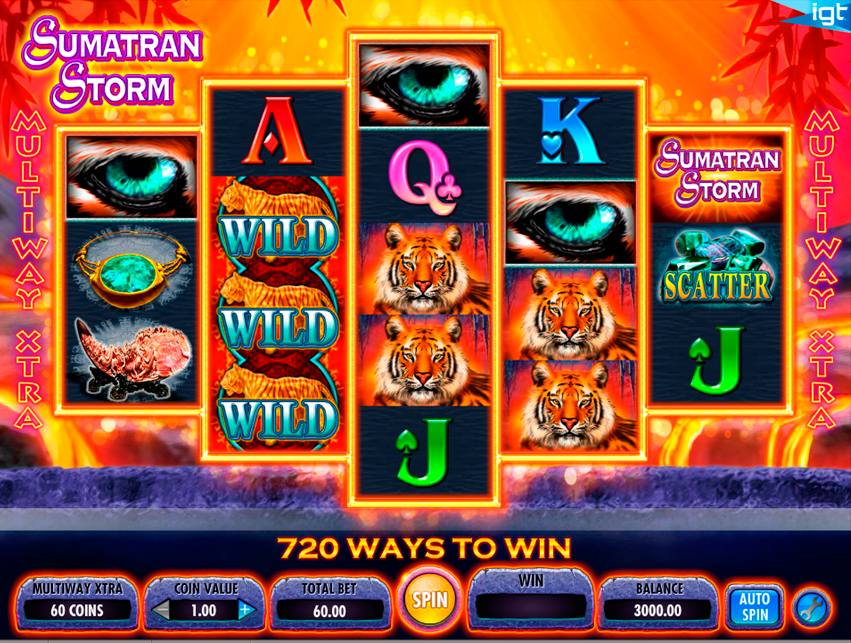 sumatran storm igt