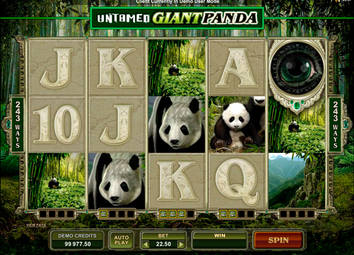 untamed giant panda microgaming