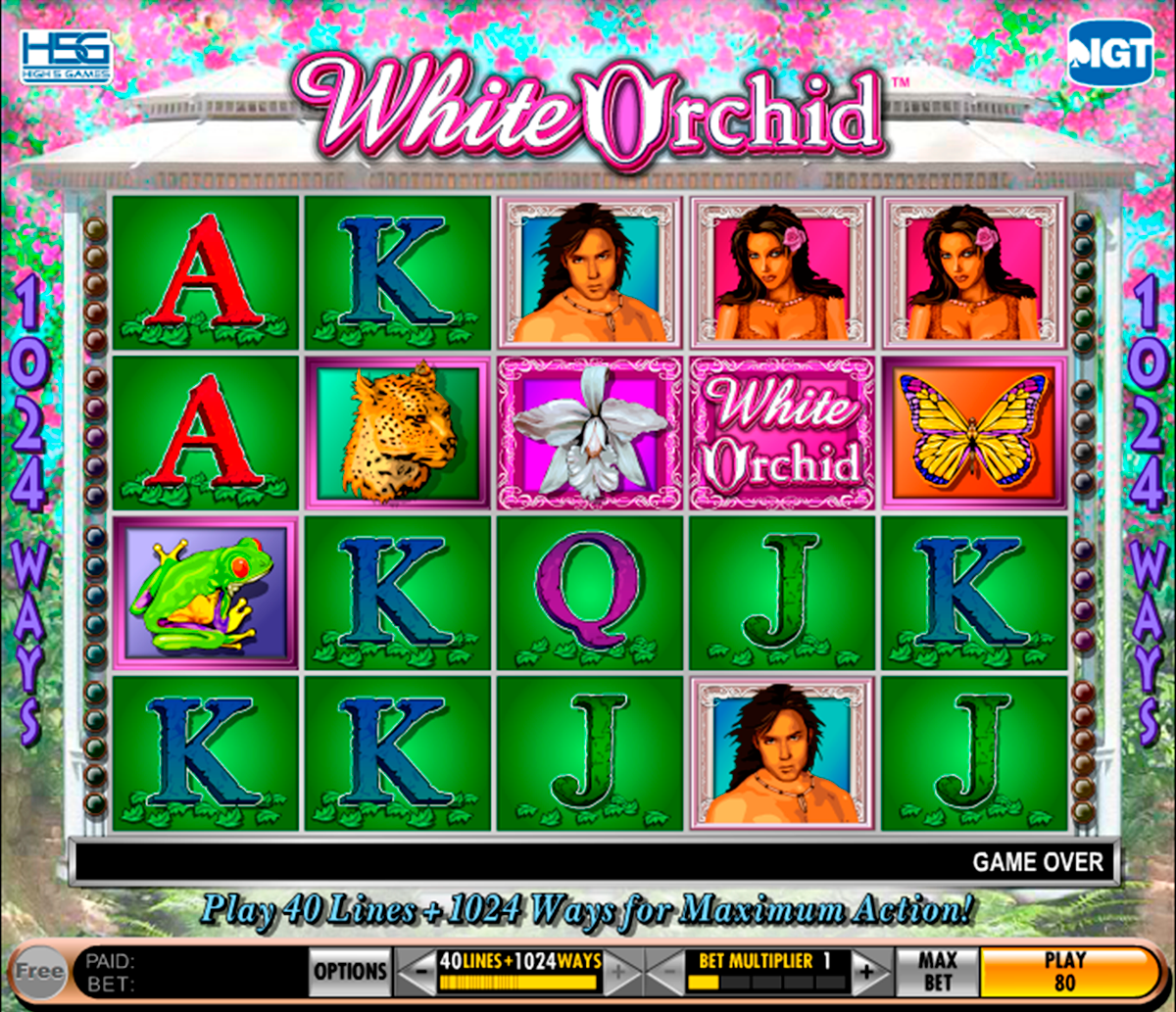 white orchid igt