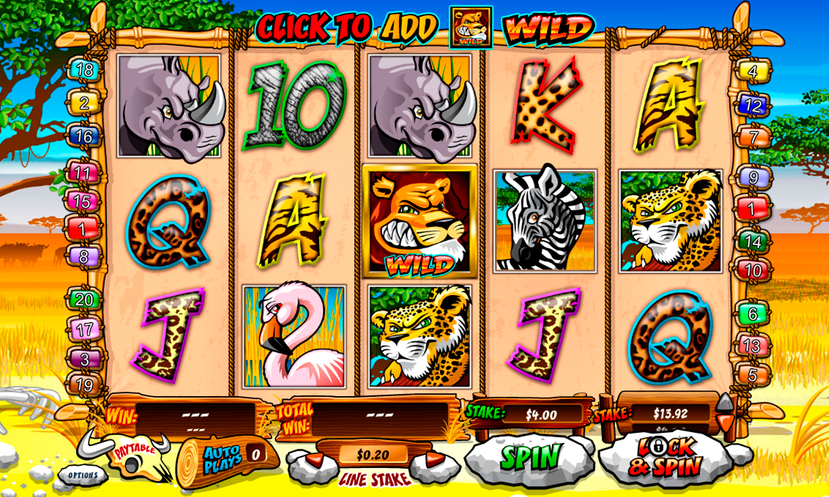 wild gambler playtech